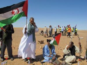 10253847_10204718642599114_8911061125747859842_n