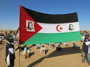 10393179_10204718380712567_285985150803335564_n