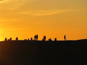 10518986_10203730797663608_2474088519545610114_n