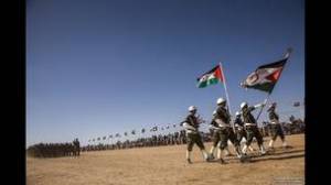 140110161230_polisario031