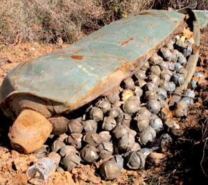 convencion-bombas-racimo-vigor-agosto2010