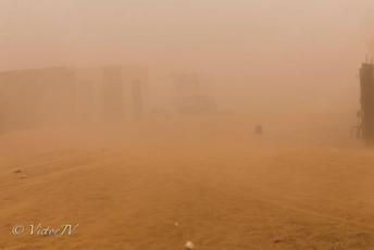 12659706_1033178686746955_757868195_n