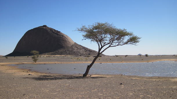 Expedición científica vasco-saharaui en busca del patrimonio cultural de la&nbsp;humanidad