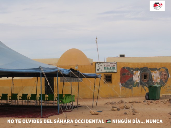 01FED181-33B6-459B-878E-2C017872ED0A