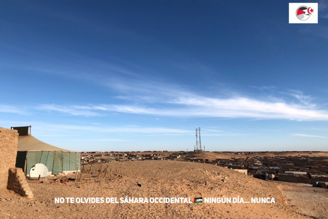 F76D5FD0-79CB-4829-B213-7E480BABF465