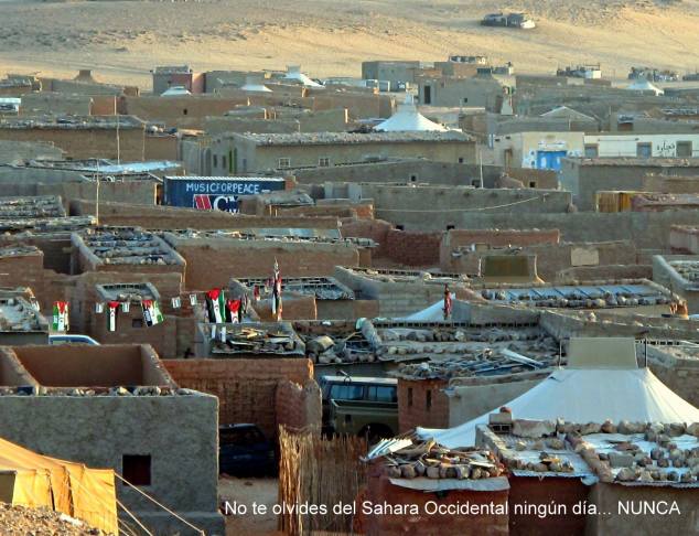 980142_10200851076072368_1425580185_o