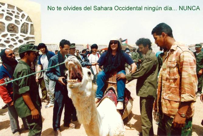 1072662_10201156500707793_1098587816_o-001