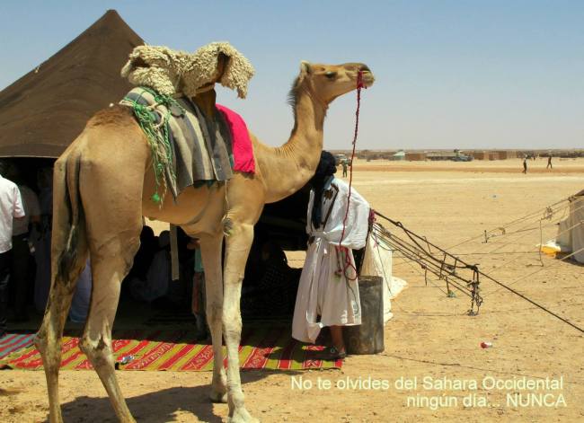 1412393_10202321251985847_1265604784_o