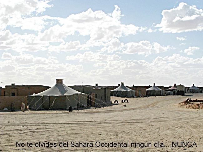 178272_4533458627703_1693019841_o-001