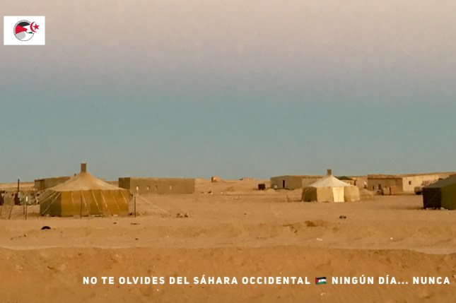 BD0CDF52-16BB-441E-A521-513CAE2331CF