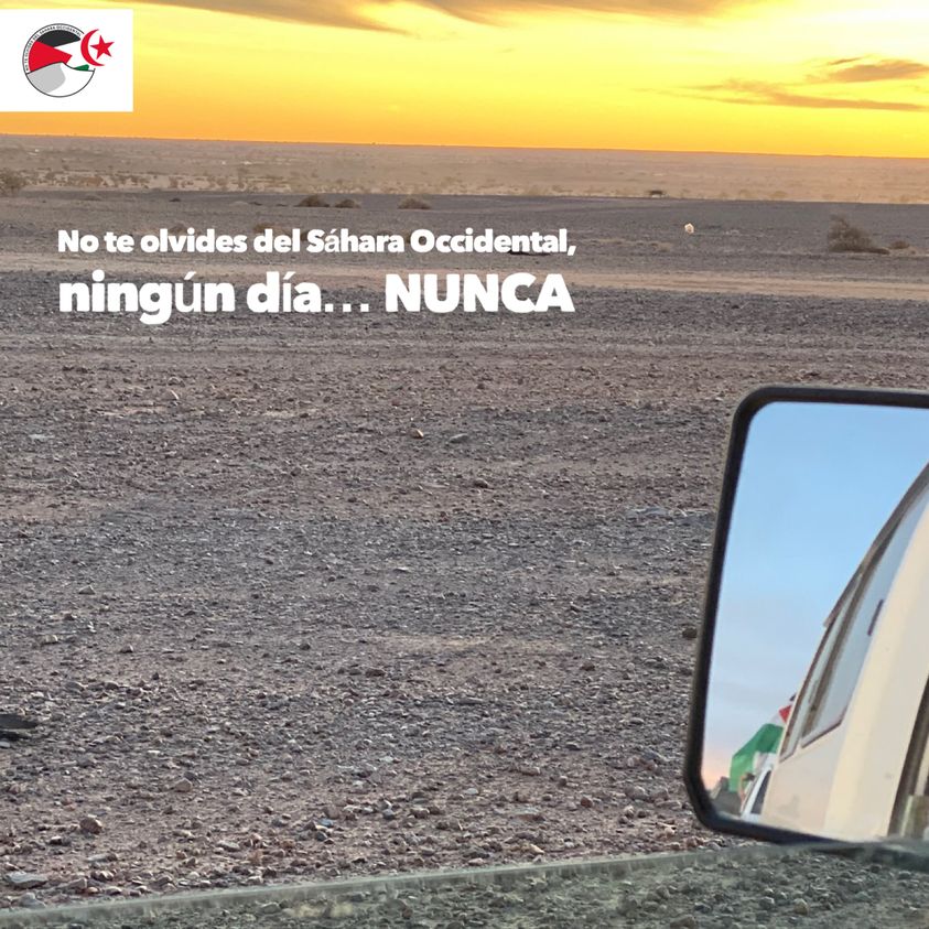 ¡LA ACTUALIDAD SAHARAUI! – 28/9/2023 – NOTICIAS del Sahara&nbsp;Occidental