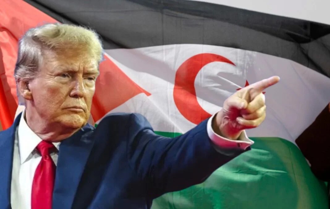 El Sáhara Occidental: eventos recientes y perspectivas de futuro bajo la sombra de Trump – Victoria G.&nbsp;Corera